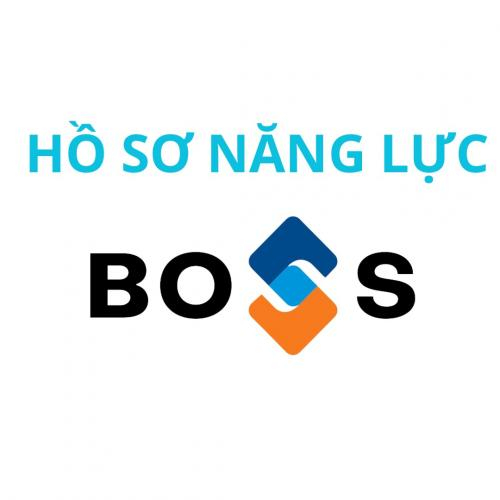 Hồ Sơ Năng Lực Hệ Sinh Thái Boss